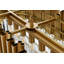 Lustre rectangulaire Lenora -373823507