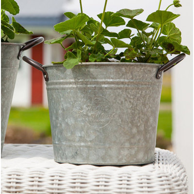 Zipporah Metal Cachepot