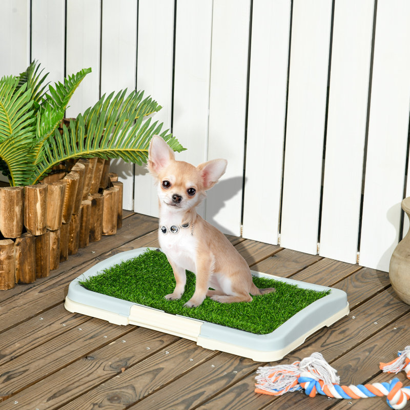 Pet Bed, 5.5" H x 46.5" W x 34" D