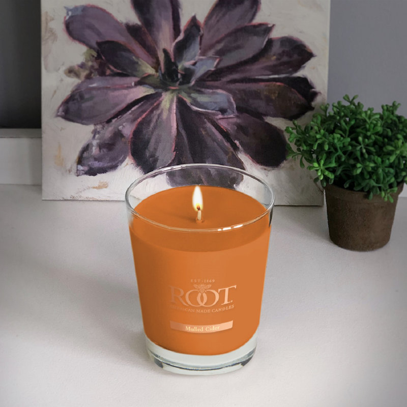 Mulled Cider Scented Jar Candle, Jar 10.5 oz.