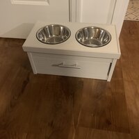 Archie & Oscar™ Achilles Piedmont 2-Bowl Elevated Dog Diner with Storage  Drawer & Reviews