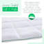 Summer Comforter-677796500