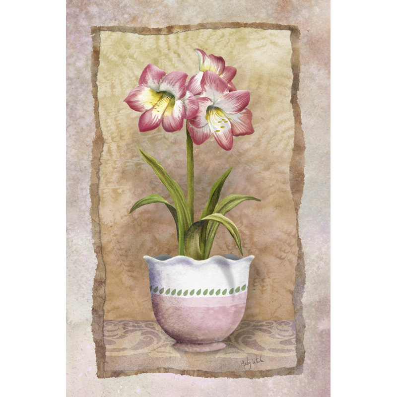 Spring Amaryllis - Wrapped Canvas Art Prints, 46cm H x 30cm W x 3.8cm D