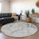 Premium Machine Washable Cerrito AMF516 Gray Rug