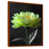 Brown Floater Framed, Solid Wood