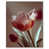 Silver Floater Frame