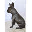 Statue de chien Boston Terrier heureux assis en bronze, taille: 7 po x 13 po x H 17 po