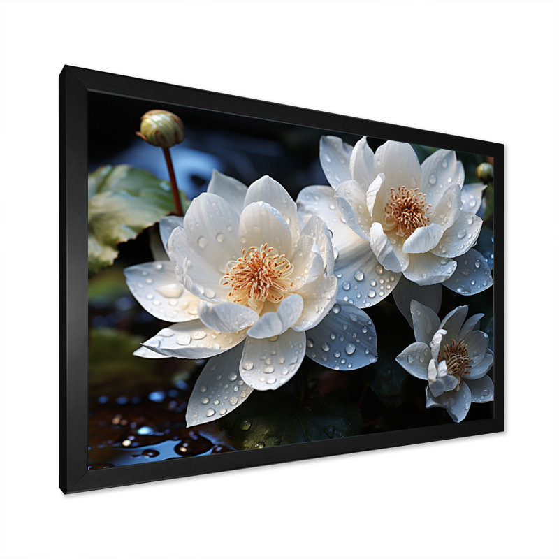 " White Yellow Lotus Field VI ", Cadre simple noir, H 16 po x l 32 po x P 1 po