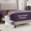 Drap-housse uni Empyrean Bedding-743386342-743435157