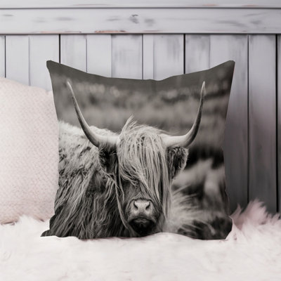 Animals Highland Cow Farm Animals Modern