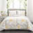 Yellow/Gray