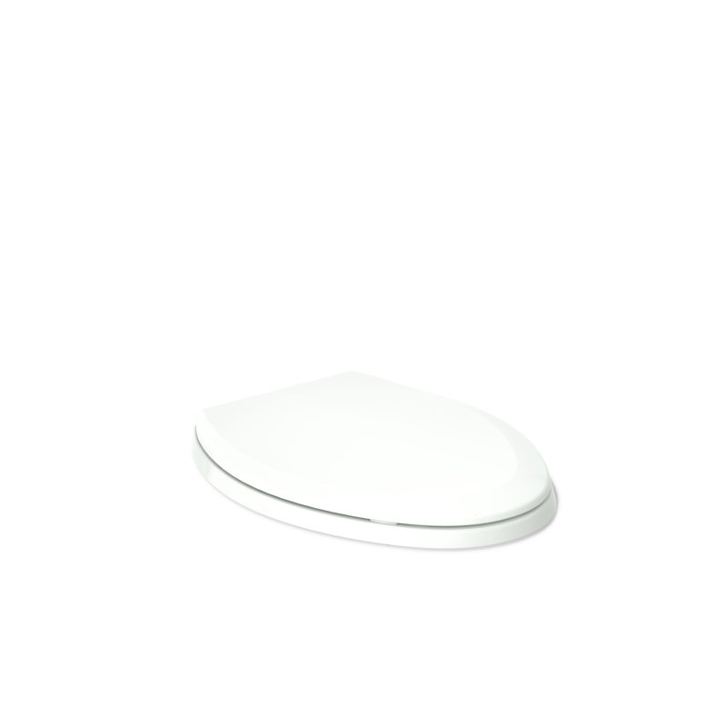 Lustra with Quick-Release Hinges Toilet Seat, Tea Green, Elongated