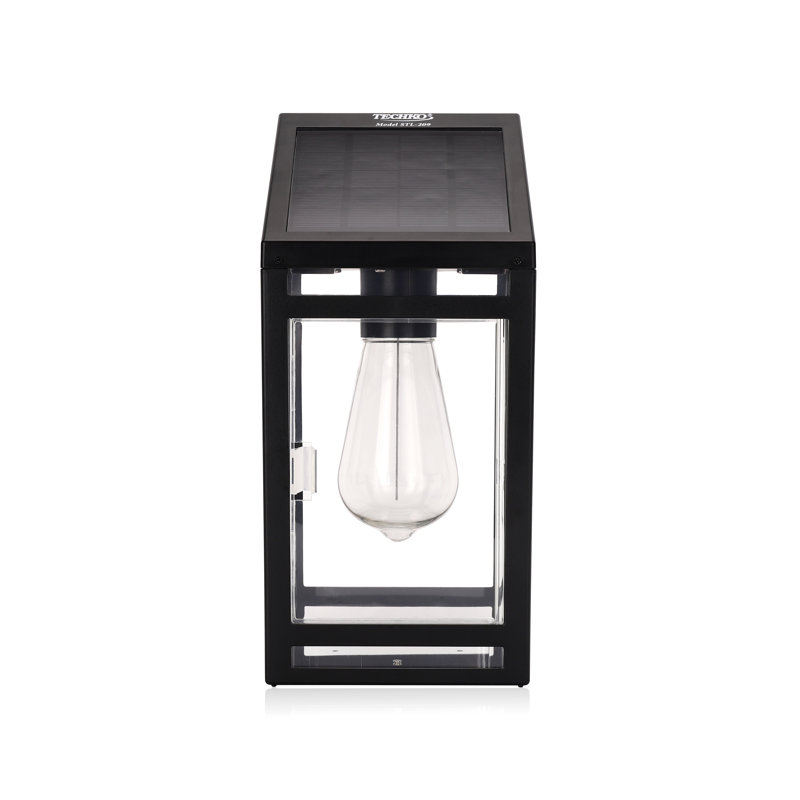 Alonie Outdoor Solar LED Wall Lantern, Clear, LED Edison Bulb
