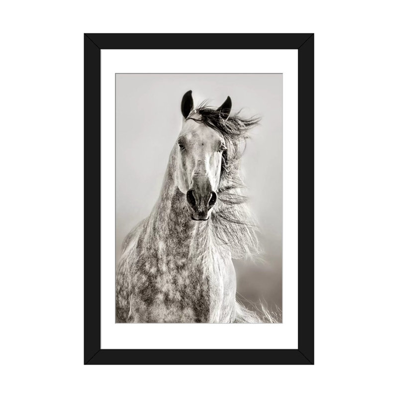 « caballo de andaluz » par lisa, peinture sur toile tendue, H 24 po x l 16 po x P 1 po, Papier d'art encadré noir, Blanc