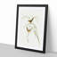 Exile Warbler by Elizabeth Gould - Picture Frame Painting Print-55535876-55535872