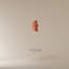 Croissant Pendant Light-75214028-75214131