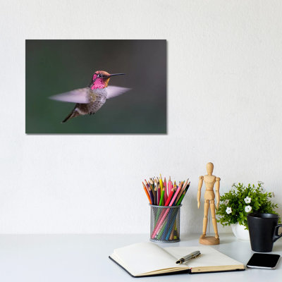 Anna's Hummingbird by Gary Luhm - Wrapped Canvas Print