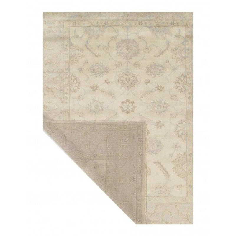 Oriental Area Rug in Ivory