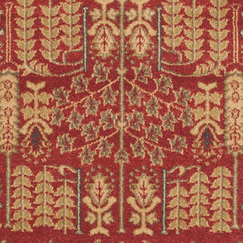 Maia Oriental Area Rug, Rectangle 66 x 122 cm