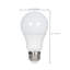 10 watts (équivalent à 60 watts), ampoule DEL A19 à intensité variable, culot moyen E26 (standard)-124984070-47435993