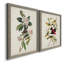 Pl 103 Canada Warbler - Ensemble de 2 reproductions d'art sur toile-1024420334-1024420329