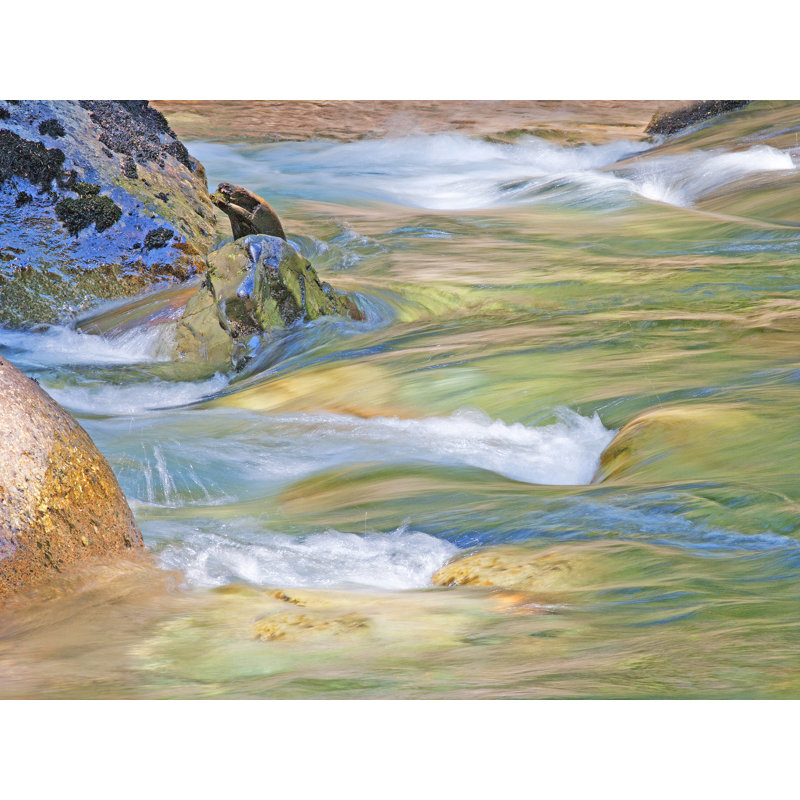 Ohanapecosh River Abstract 2 Print by Bruce Heinemann, 25.25" H x 31.25" W