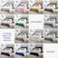 Bangura Chesterfield Ottoman Storage Bed - Velvet Upholstered Gas Lift Bed Frame with Footboard-1598265843-1598265842