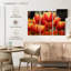 Tulipes rouges Harnek-108026501