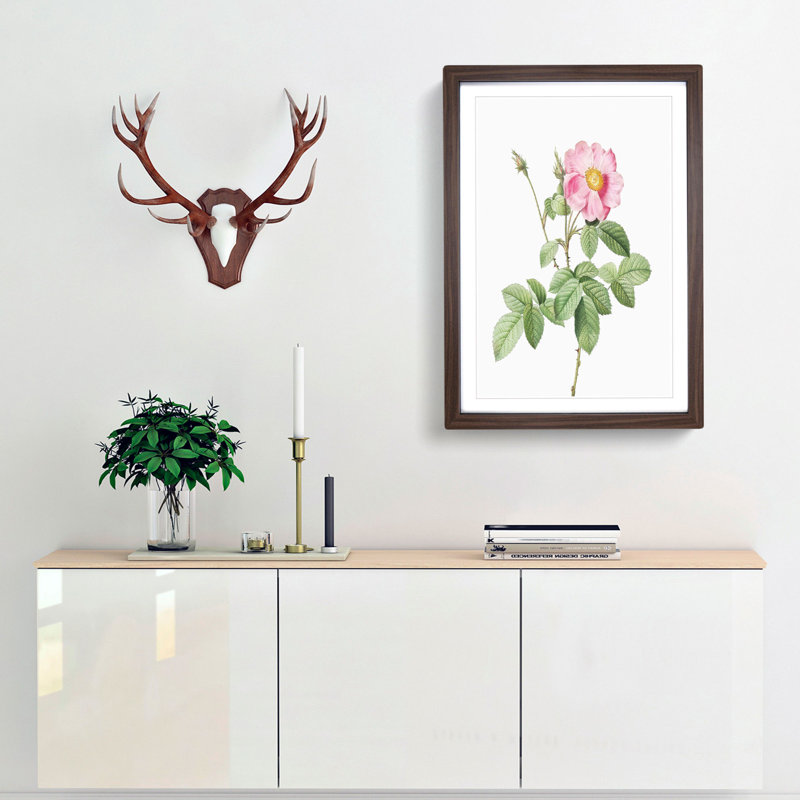 Pink Cabbage Roses by Pierre-Joseph Redoute - Picture Frame Painting Print, Walnut Framed, 48cm H x 36cm W x 2cm D