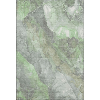 Premium Machine Washable Verlin AMF1787 Floral Rug