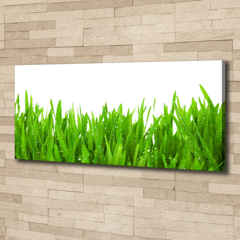 Grass - No Frame Print on Canvas