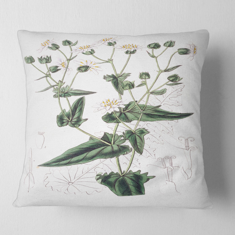 Vintage Plant Life XXII - coussin traditionnel imprimé, 18" x 18"