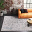 Oriental Indoor Rug-1634857351