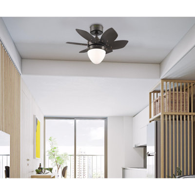 Ventilateur de plafond 24 pales à 6 pales 24 po avec chaîne de traction et ensemble d'éclairage inclus