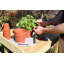Bronsyn Wood Potting Bench