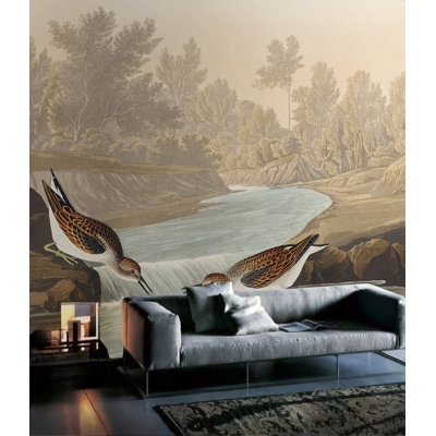 Papier peint amovible Sandpiper On River