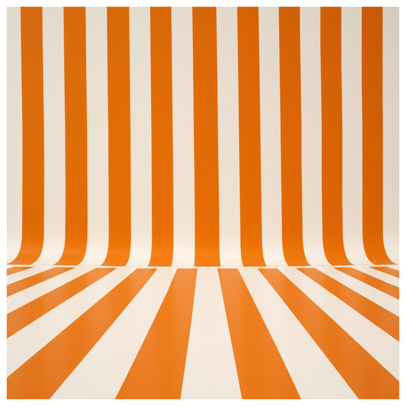 Rideaux de douche orange et blancs à rayures verticales très longs, 70in W x 72in H