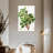 Keiri Carob Tree-108640980