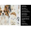 Serviette de cuisine Coffee Bar-1234934598