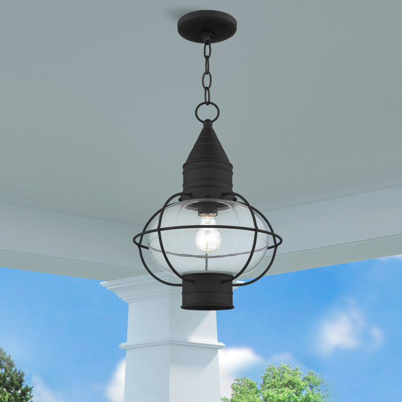 Aster Outdoor Hanging Lantern, Black