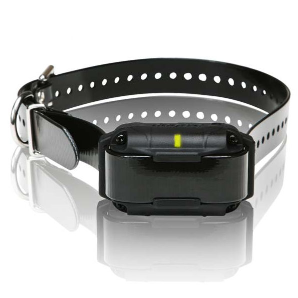 SureStim M Plus Extra collier de chien, Noir