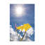 Art sur toile, rouleau de Kites-105644507
