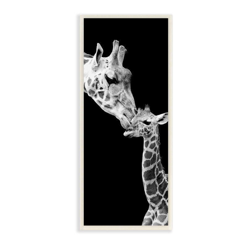 Beau bébé girafe aimant la mère, portrait monochrome par Incado - photographie, Plaque murale, H 17 po x l 7 po x P 0,5 po