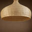 Luminaire suspendu en forme de dôme naturel moderne à 1 lumière avec accents en bois Allmon