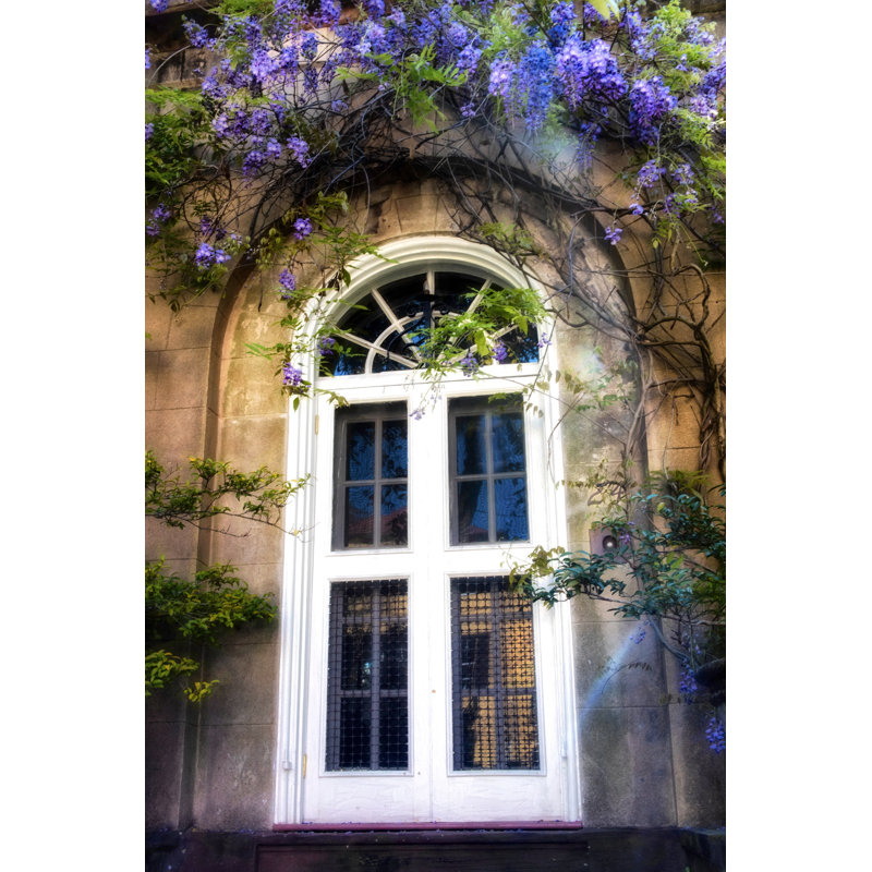 Wisteria - Photograph, 122 cm H x 81 cm W, Wrapped Canvas