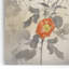 Red Climber - reproduction sur toile-22481790