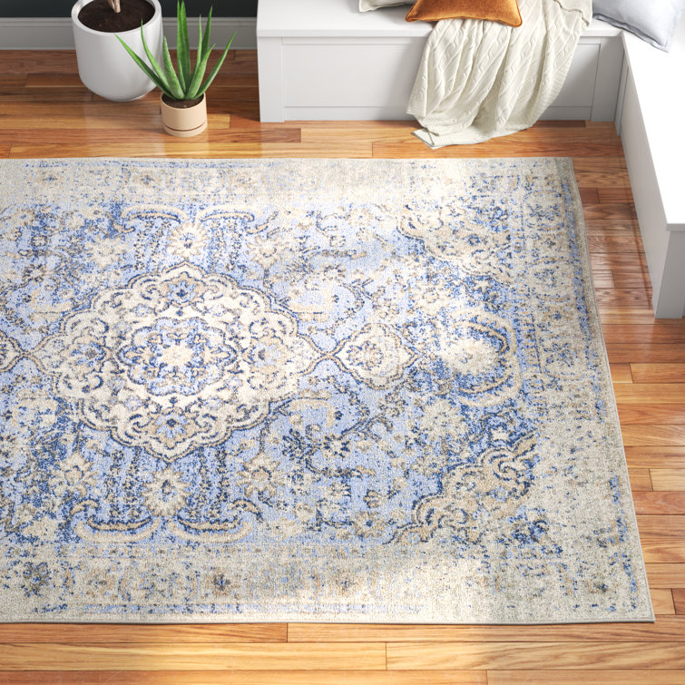 Kampyli Oriental Indoor Rug