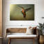 Colibri roux Brampt femelle-108815931