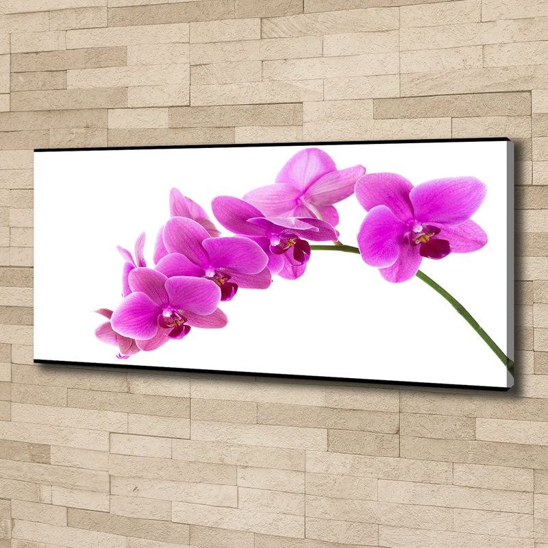 Pink Orchid - Wrapped Canvas Print