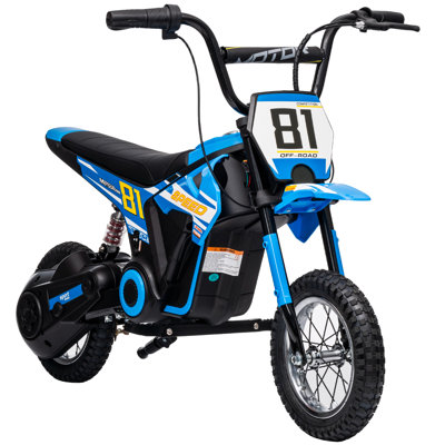 AIYAPLAY Kids Electric Motorbike 24V 250W 6-16km/h for 8-12 Years Old